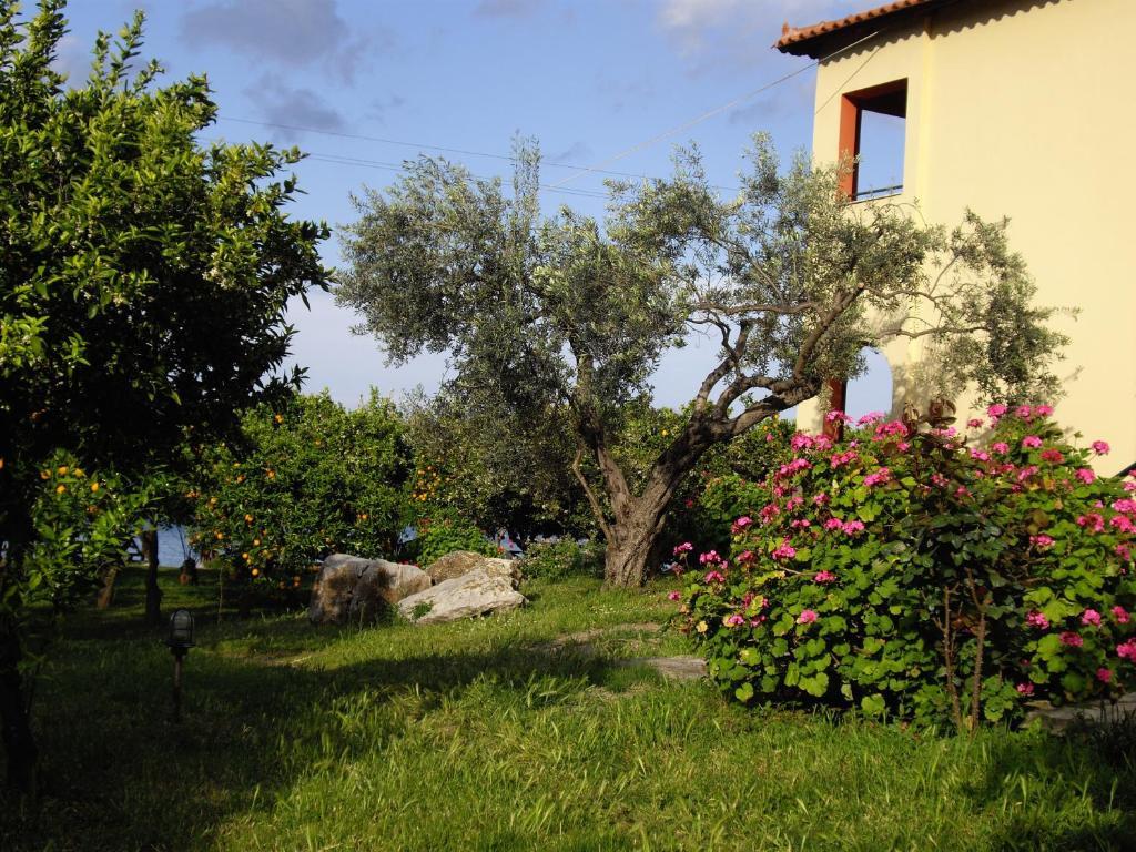 Magda Hotel Apartments Epidaurus Bagian luar foto